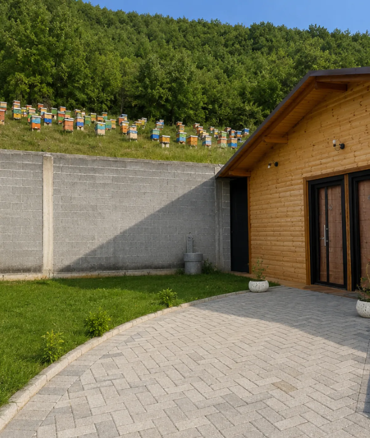 About API Therapy Shëndeti Forinë