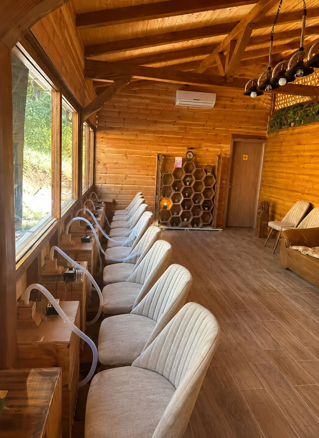 About API Therapy